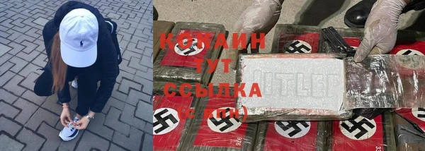дмт Майский