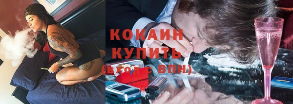гидра Магас