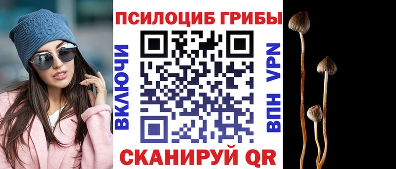 Псилоцибиновые грибы Magic Shrooms Лысково